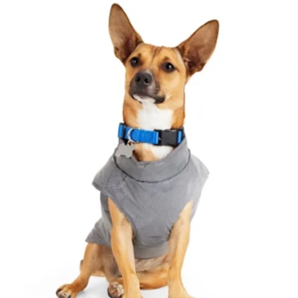 NWT harness jacket Dog backcountry XS
